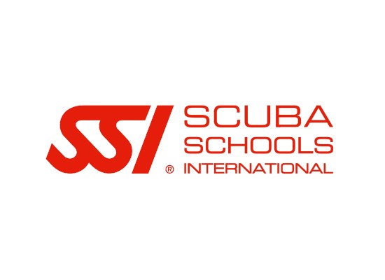 SSI Logo
